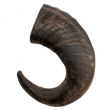 Aussie Naturals Buffalo Horn for Dogs