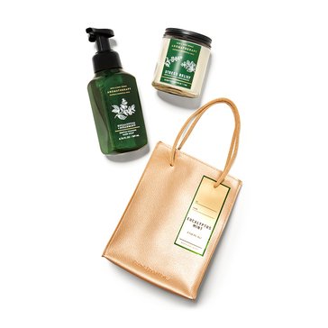Bath & Body Works Home Gift Bag Set Eucalyptus Spearmint