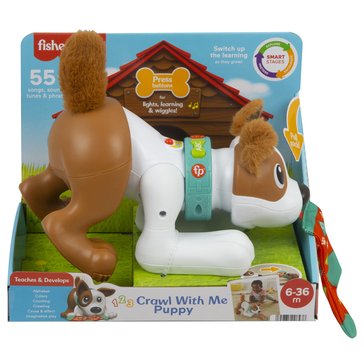 Fisher Price Laugh N Learn 123 Crawl With Me Puppy